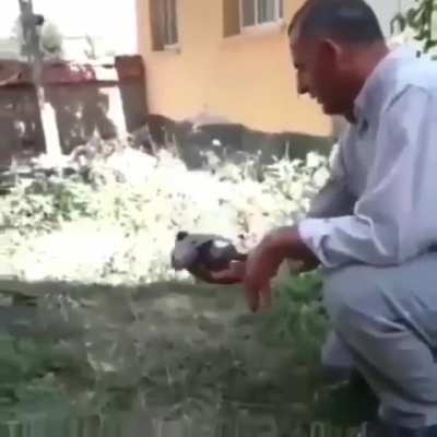 Be free little bird ...