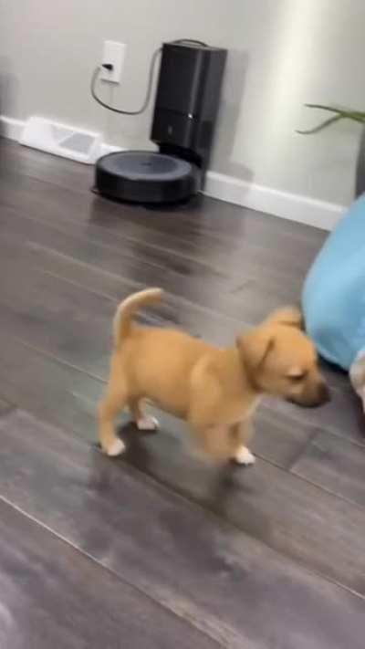 I'm going on an adventure