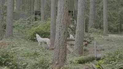 🔥 Even the best musicians practice.