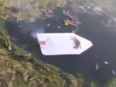 damn bruh what the crab do to u