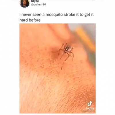 Thanks, I hate mosquitos stroking it