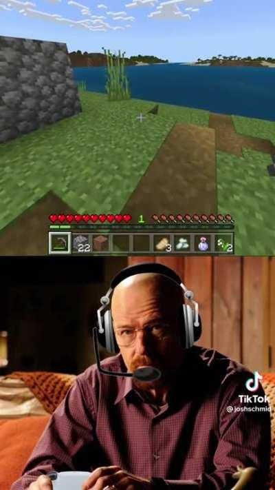 Walt and Morgan Freeman playing Minecraft