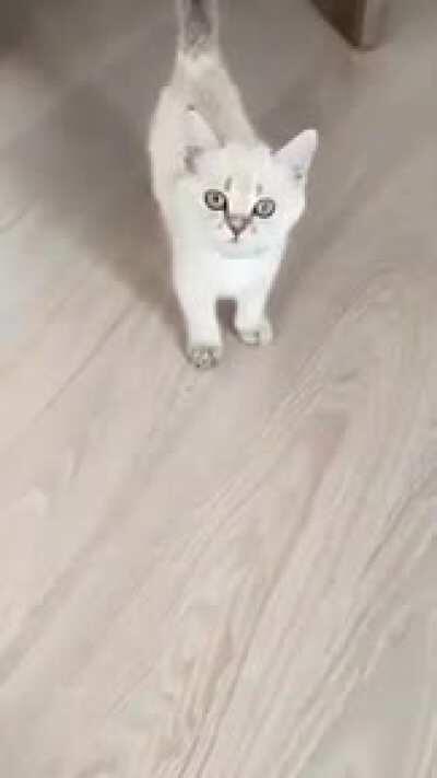 aaaaa... A҉҉̦̣̤͔̟̩̋̿̏ͦ̈́̍͟͠A҉҉̦̣̤͔̟̩̋̿̏ͦ̈́̍͟͠A҉҉̦̣̤͔̟̩̋̿̏ͦ̈́̍͟͠A҉҉̦̣̤͔̟̩̋̿̏ͦ̈́̍͟͠A҉҉̦̣̤͔̟̩̋̿̏ͦ̈́̍͟͠A҉҉̦̣̤͔̟̩̋̿̏ͦ̈́̍͟͠