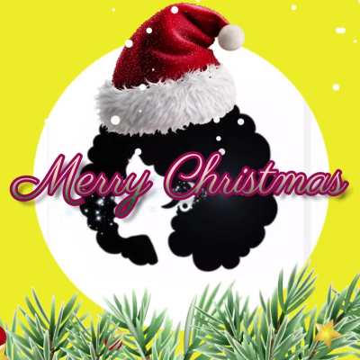 Merry Christmas Everyone!