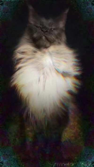 Here's another random psychedelic cat! (Request piece)