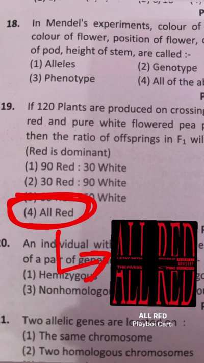 i keep seeing these man