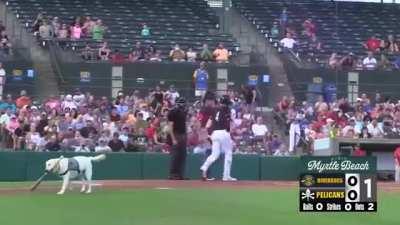 Anyone know how to defeat this boss? I’ve been stuck for 3 years.