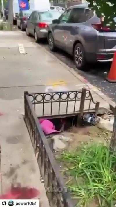 Alice comes back from the rabbit hole. (NY)