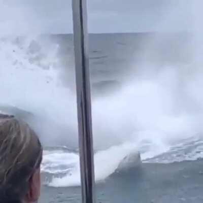 Well, that's... just a big fish