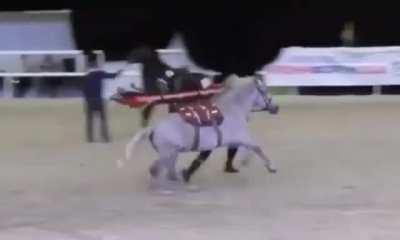 Guess what they broke