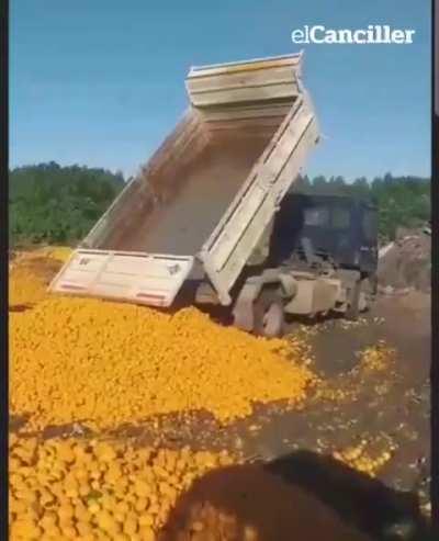 Eficiencia capitalista. 