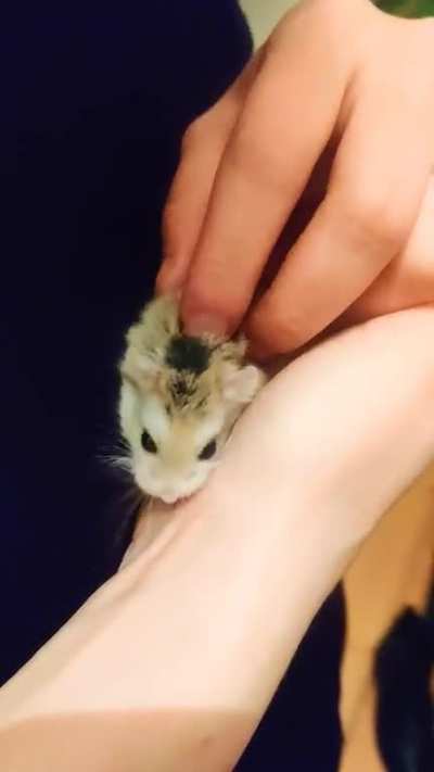 Only mum is allowed to cuddle me 💕