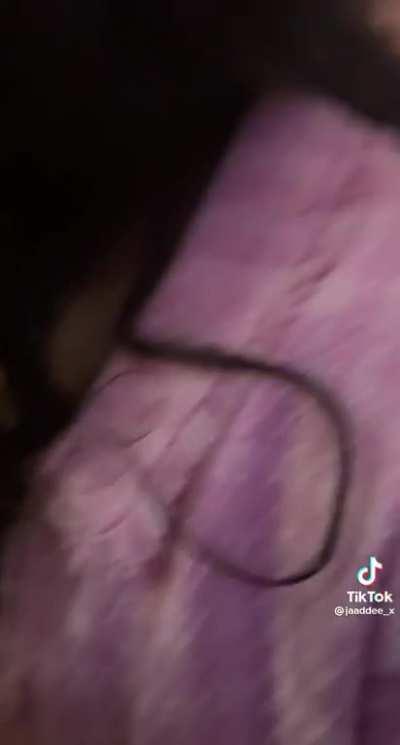 The Feature Wall behind the DJ booth goes up in Fire