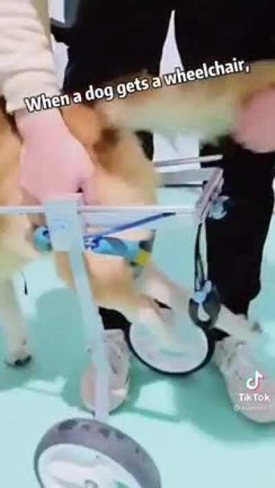 No es un meme pero... 🥺