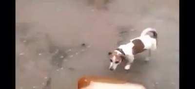 i dont give a shit that anne drew taint is arrested, cry about it