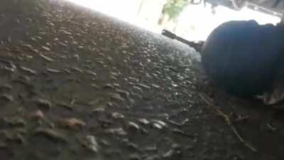 Guardia nacional being ambushed by CDN in Nuevo León