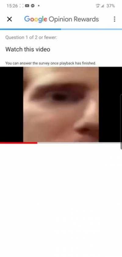 What a great survey, Google!