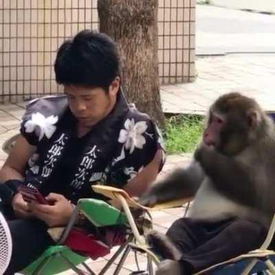 Monkeys can be dudes too