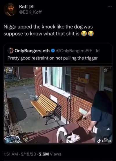 How he thought the dog was gonna react: 😱