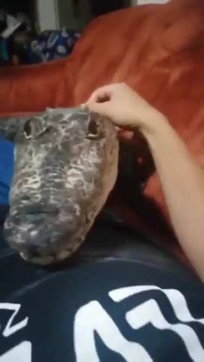 He's just a big'ol river puppy.