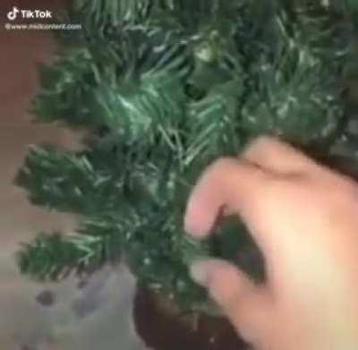 Why hello there friend!