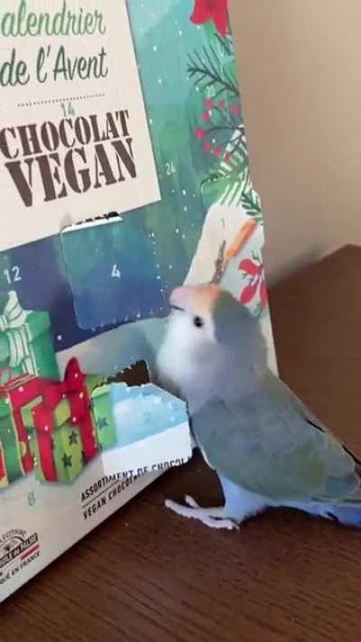 BirBomBomboboboboboboBOMBOM