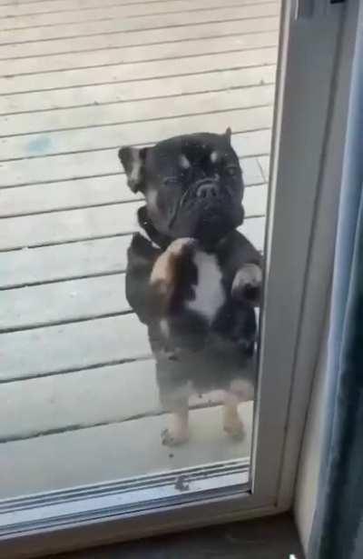 Come dance with me. That's right, let's do this hand movement and don't forget to shake your butt rhythmically