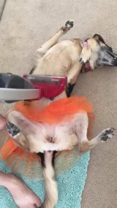 Well, that’s one way to handle the hair.