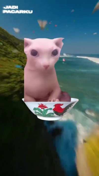 Bingus Brainrot that I made