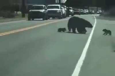 Have Kids They Said 🐻