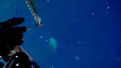 So fuck spear fishing