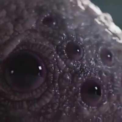 I see you: Thanks, I hate it