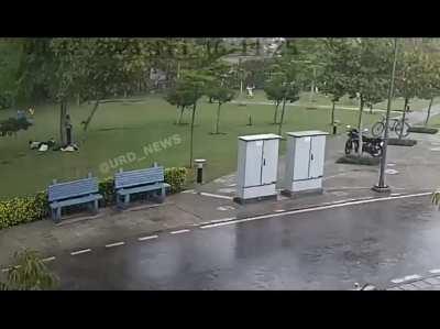 Hiding under a tree in a storm