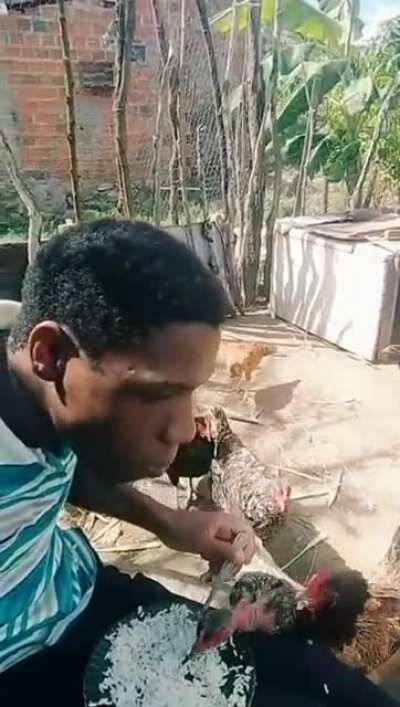 Estoy comiendo arroz con mi amigo el frango!