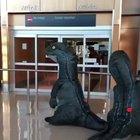 Maybe The Greatest Airport Reunion Ever