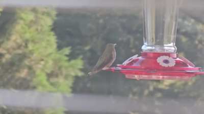 A rare moment of stillness