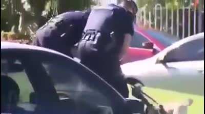 Karen tries to punch a cop.