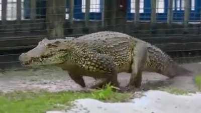 living something like that seems incredibly scary to me