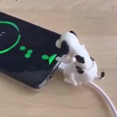 Funny Humping Dog Fast Charger Cable