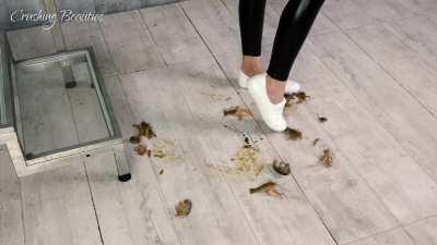 my little feet all honeyed for you 😈🔥👠