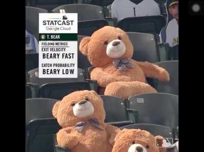 Teddy bear dies inside during baseball game
