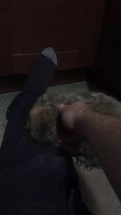 Cuddles while I wait for the coffee to brew before work