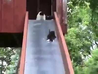 Maybe Maybe Maybe