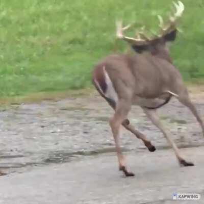 What happens when I just want it to stay still for 5 seconds