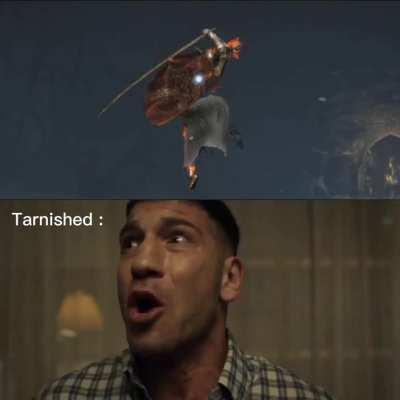 I promise this is the Last One 🙏