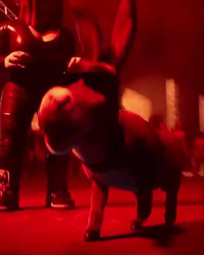 É disso que estou falando 🤟🏼🤟🏼🤟🏼🤟🏼🤟🏼