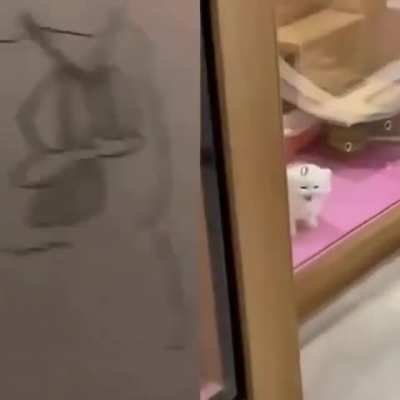 Split personality wunkus