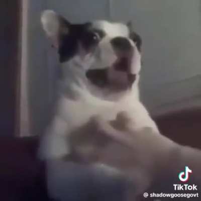 why are you still here headphones