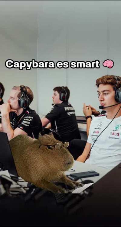Capybara Slay