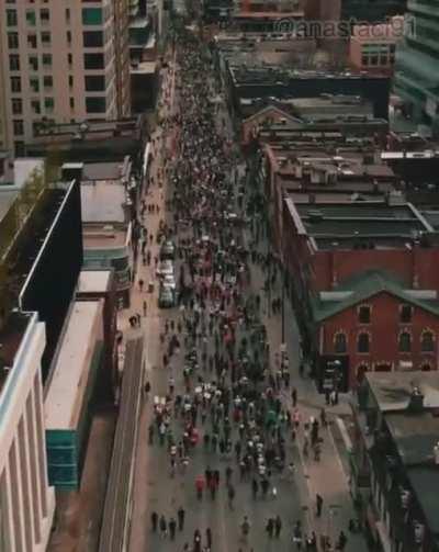 Freedom Protest.. Toronto canada